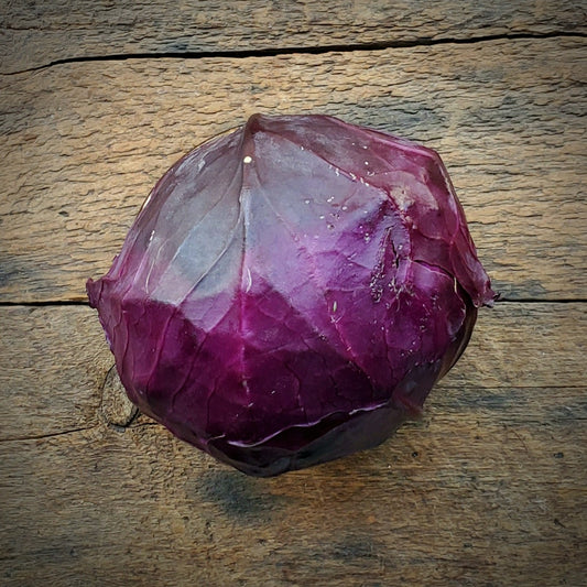 Red Cabbage