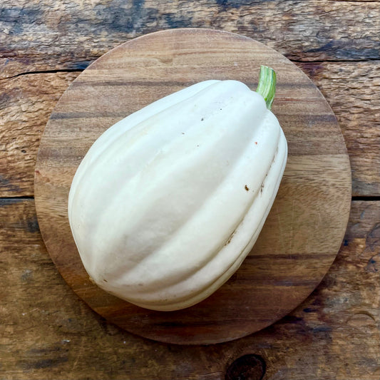 White Acorn Squash